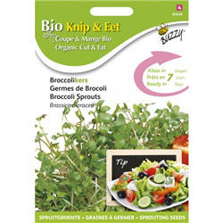 Bio - germes de brocoli 30 gr