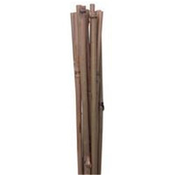 5 tuteurs en bambou 120 cm