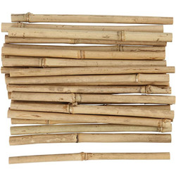 Bâton de bambou 30pièces