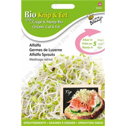 Bio - germes de alfalfa 30 gr