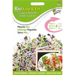 Bio - germes - salade mix piquant 30 g