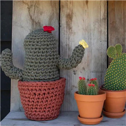 Cactus en fils Zpagetti