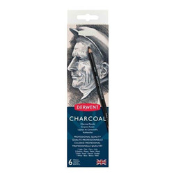 Derwent charcoal tin (6)