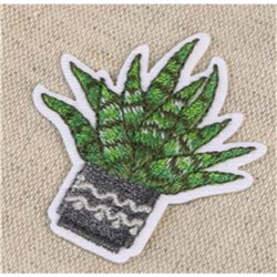 Ecusson cactus