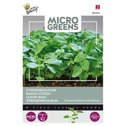 Graines Micro greens Basilic-citron