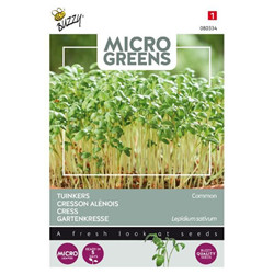 Graines micro greens cresson alenois