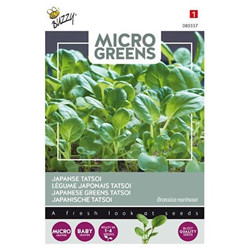 Graines Micro greens légume japonais