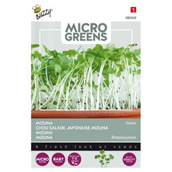 Graines Micro greens mizuna red