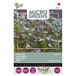Graines Micro greens moutarde redfils