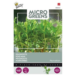 Graines Micro greens pois nain