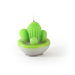 Moule en latex bougie cactus