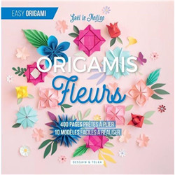 Origamis Fleurs