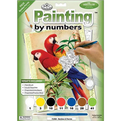 Peinture par numéros perroquets 33x24c
