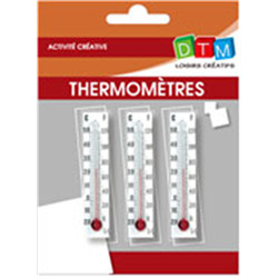 Thermomètres (3 pces)